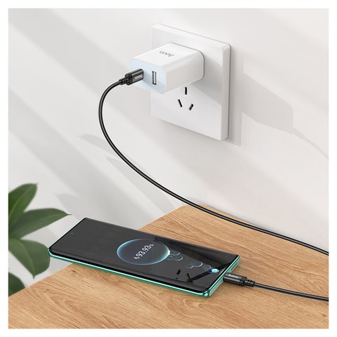 USB кабель Hoco X89, 2xUSB тип-C, 100 см, 60 Вт, черный, #6931474784384 Превью 1